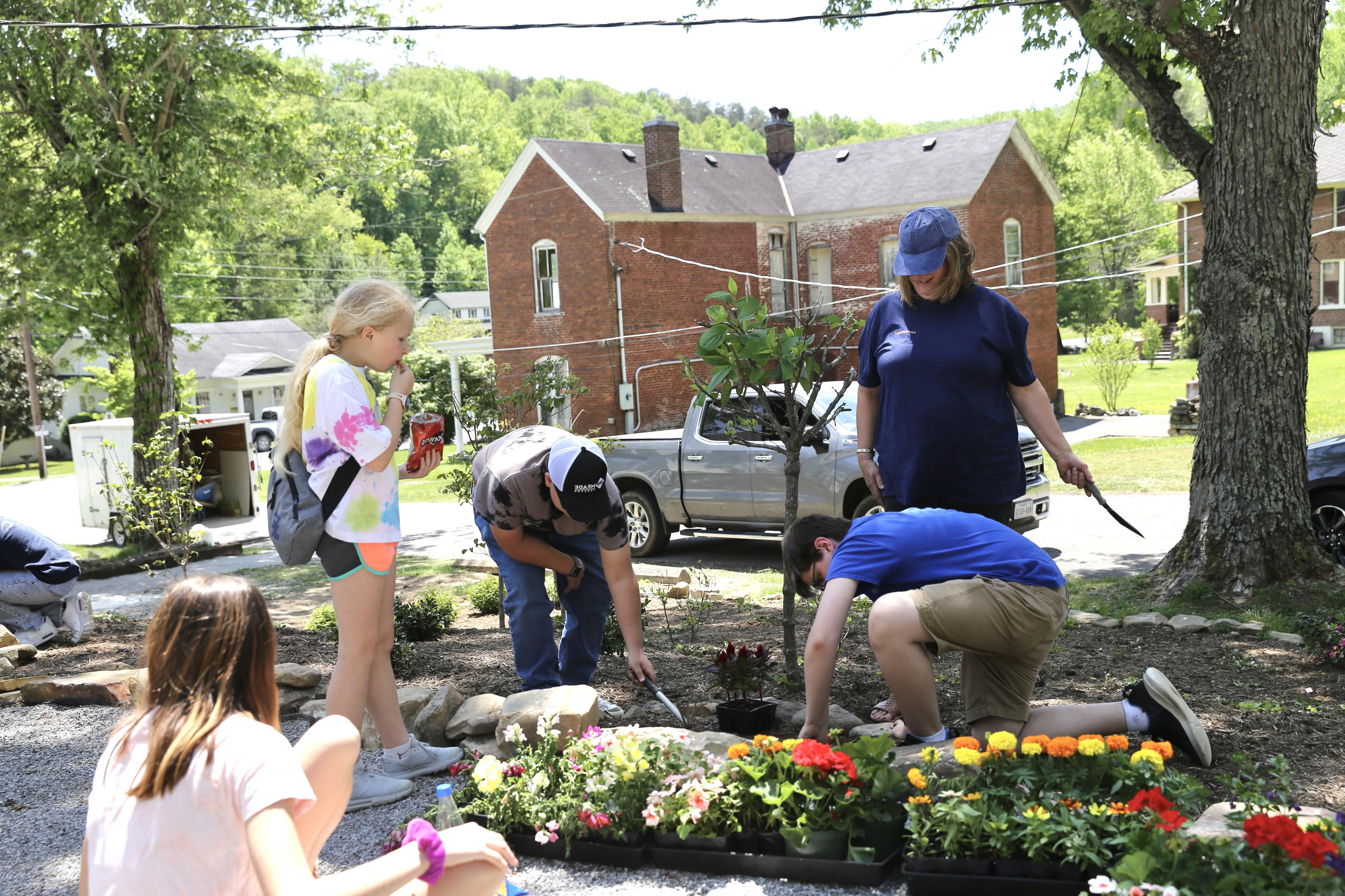 planting flowers